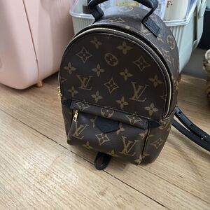 Louis Vuitton Palm Springs Mini